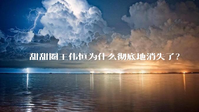 甜甜圈王伟恒为什么彻底地消失了？