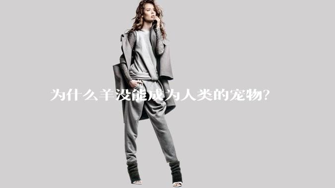 为什么羊没能成为人类的宠物？