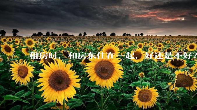 租房时，和房东住在一起，好还是不好？