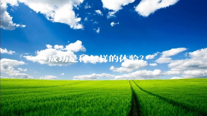 ***成功是种怎样的体验？