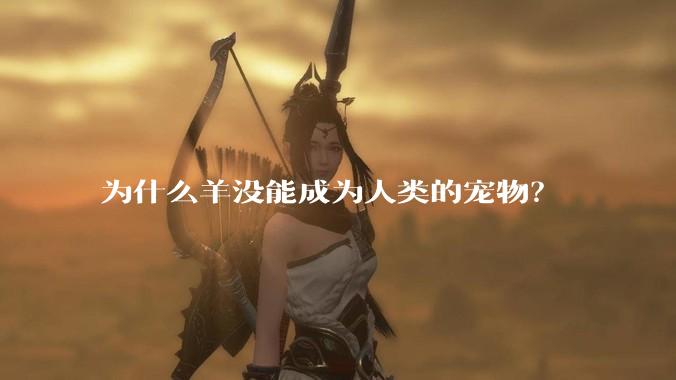 为什么羊没能成为人类的宠物？